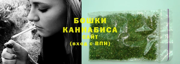 первитин Богданович