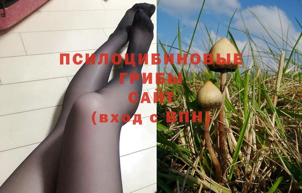 первитин Богданович