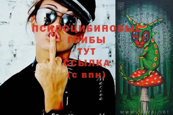 гашик Богородск