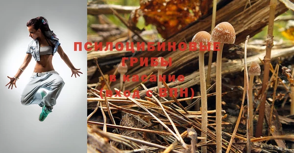мяу мяу кристалл Богородицк