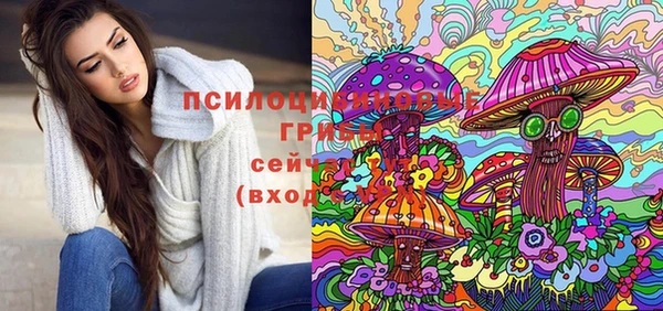 первитин Богданович