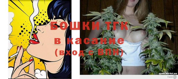 первитин Богданович