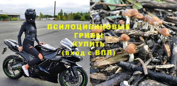 первитин Богданович
