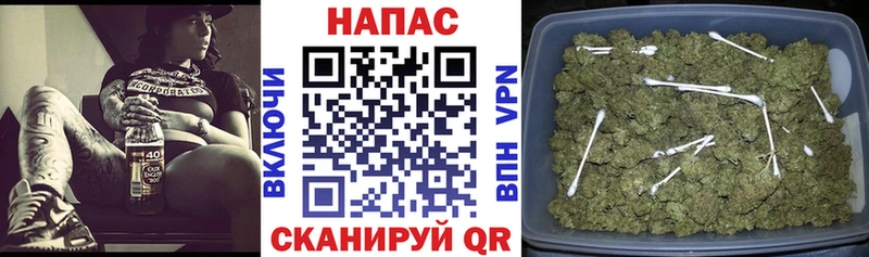 Бошки марихуана Amnesia  Купить закладки  Сертолово 